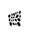 Plzeňský sportovní summit